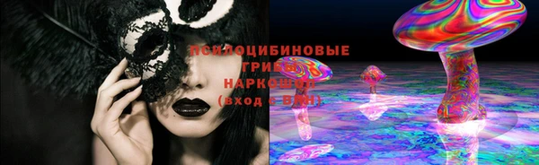 стаф Аркадак