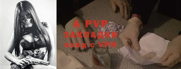 стаф Арсеньев