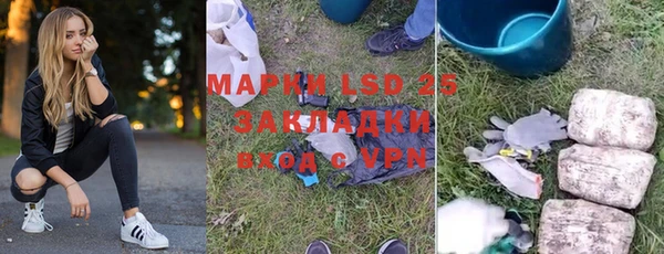 стаф Аркадак