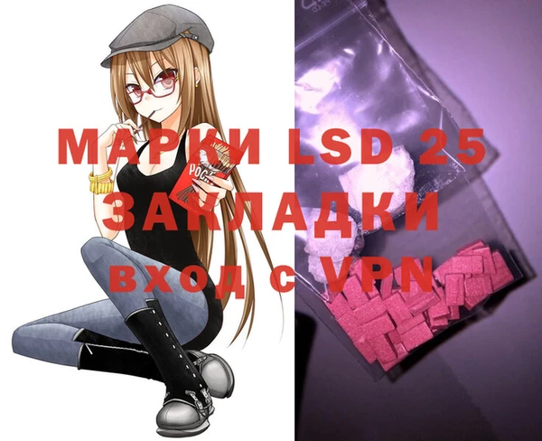 стаф Аркадак