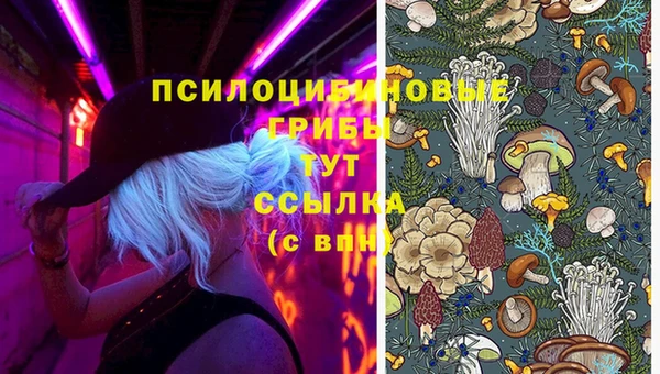 прущий лед Алексеевка