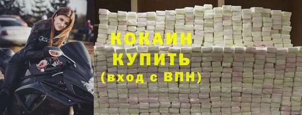 стаф Арсеньев