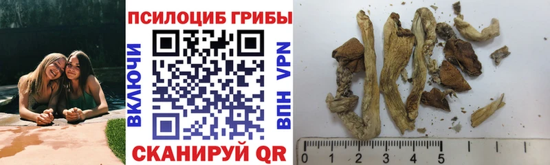 Псилоцибиновые грибы GOLDEN TEACHER Купить Подпорожье